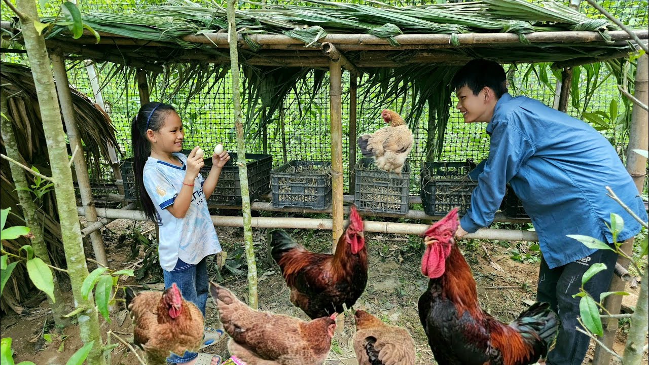 The two orphans were delighted to see their chickens start laying eggs.