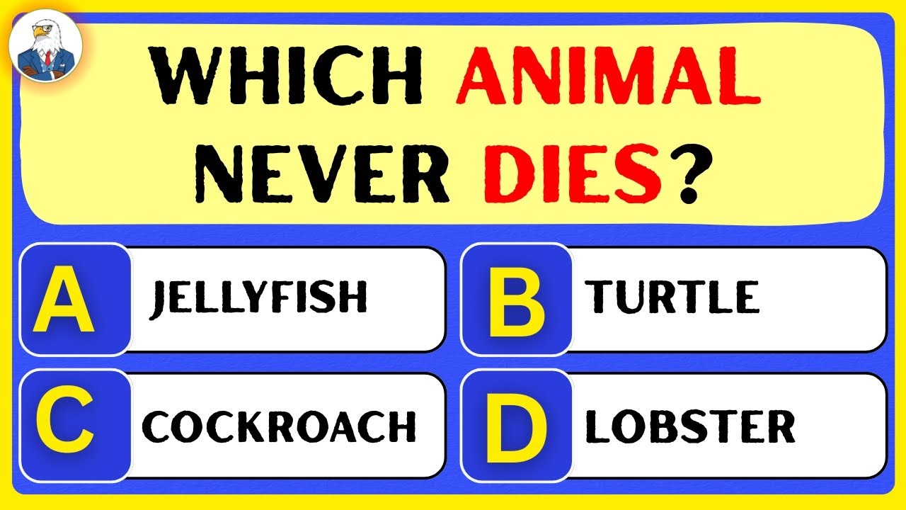 50 General Knowledge Questions That Will Make You Doubt Your Intelligence