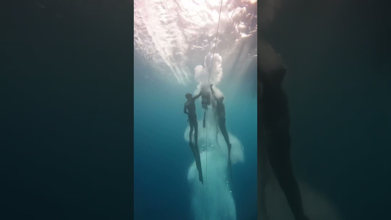No Limit #onebreathe #freedive #nolimit #panglao #dive #bohol #freediving #dive #ocean #extreme
