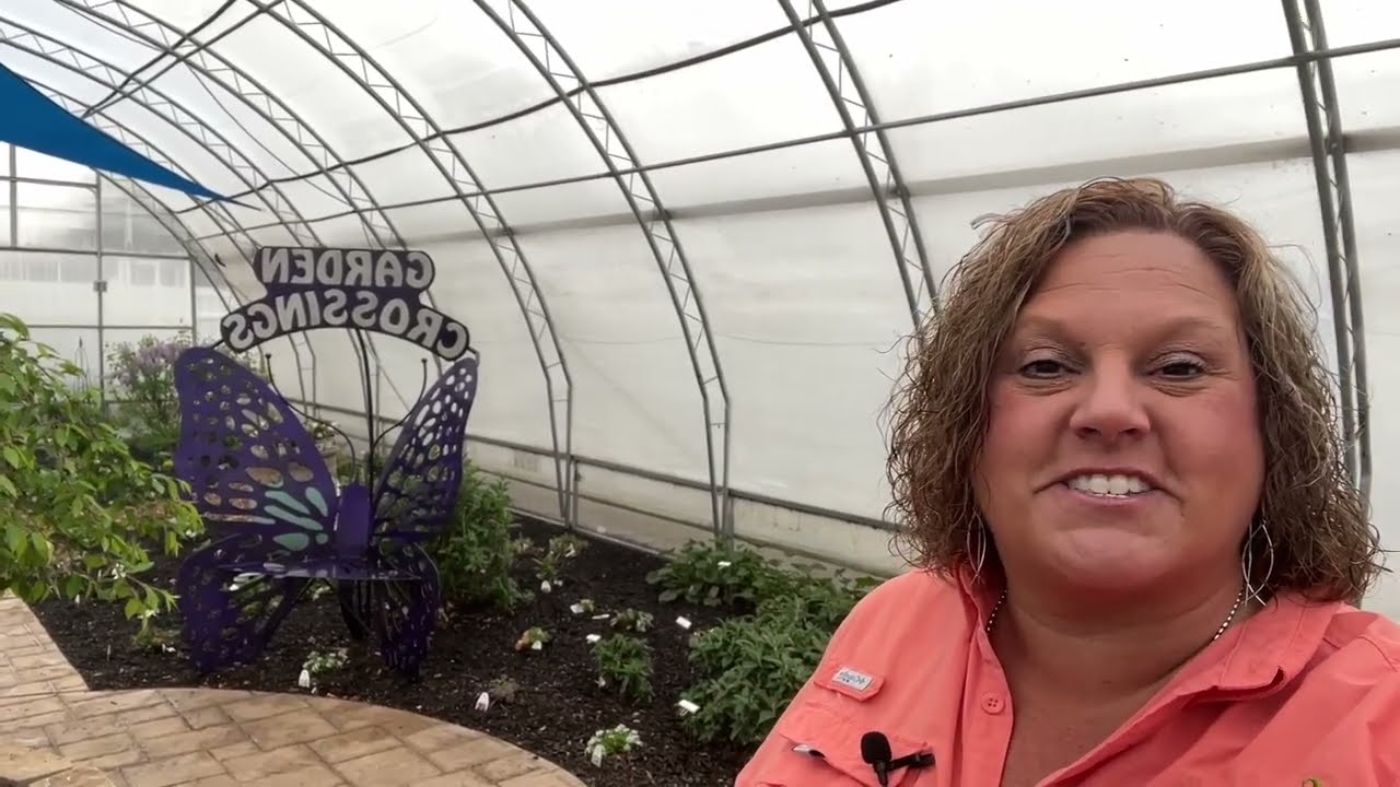 Butterfly House Tour April 2023
