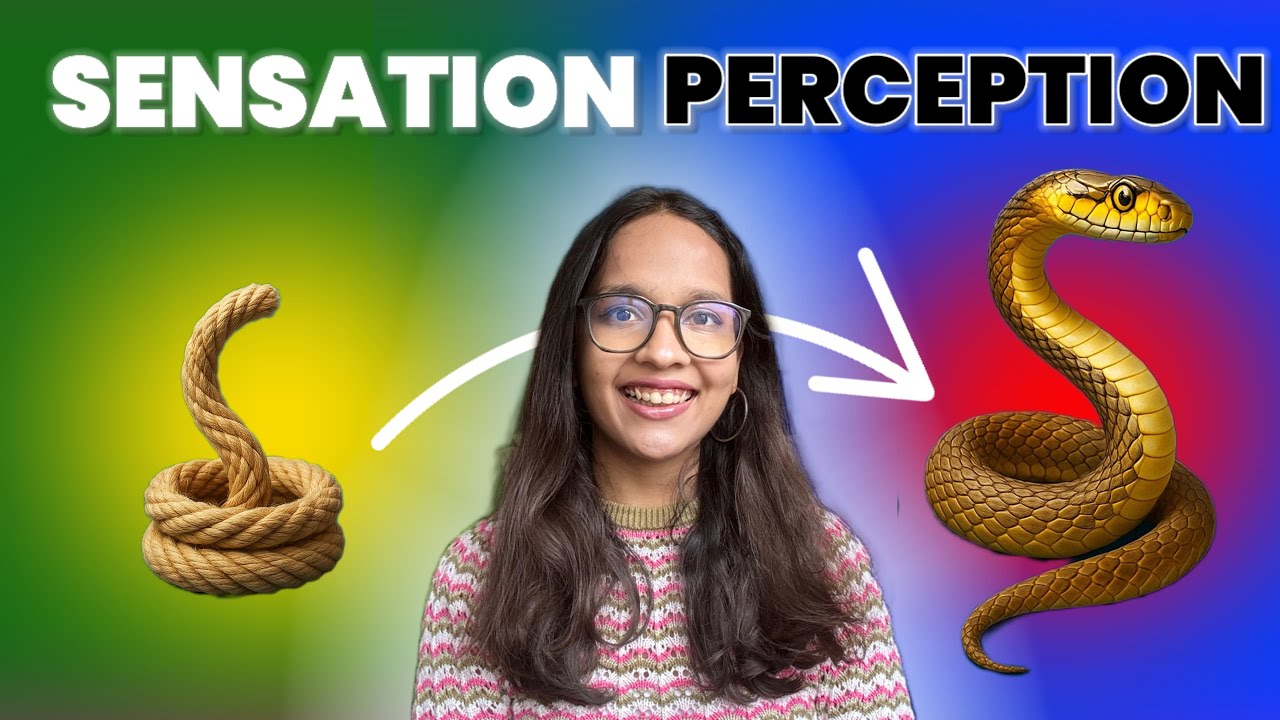 Episode 4: Sensation and Perception! 🍃