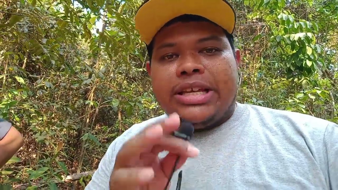 Chácara (Vendida)na cidade de Sinop-MT. Assista até o final