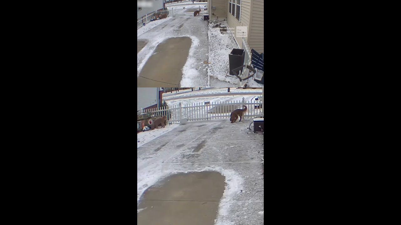 New Look At Ohio Meteor