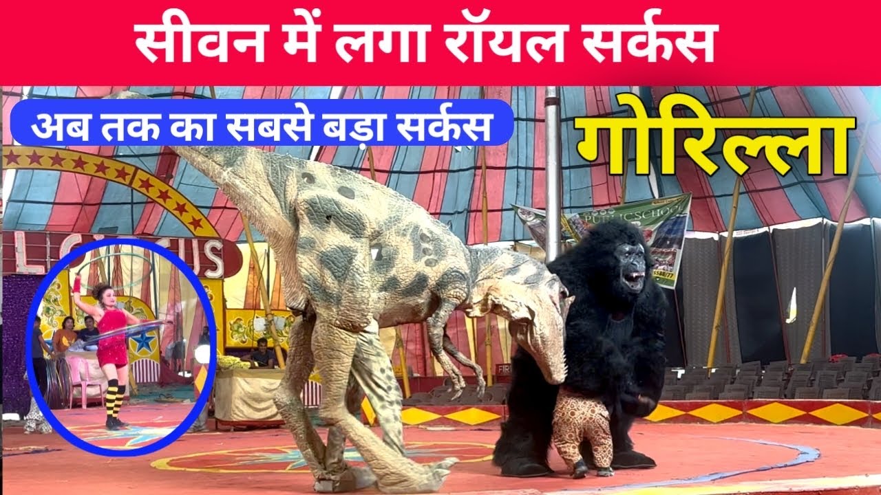 Siwan Circus | circus Siwan | siwan circus ka video | siwan ka video | siwan news | siwan vlogs