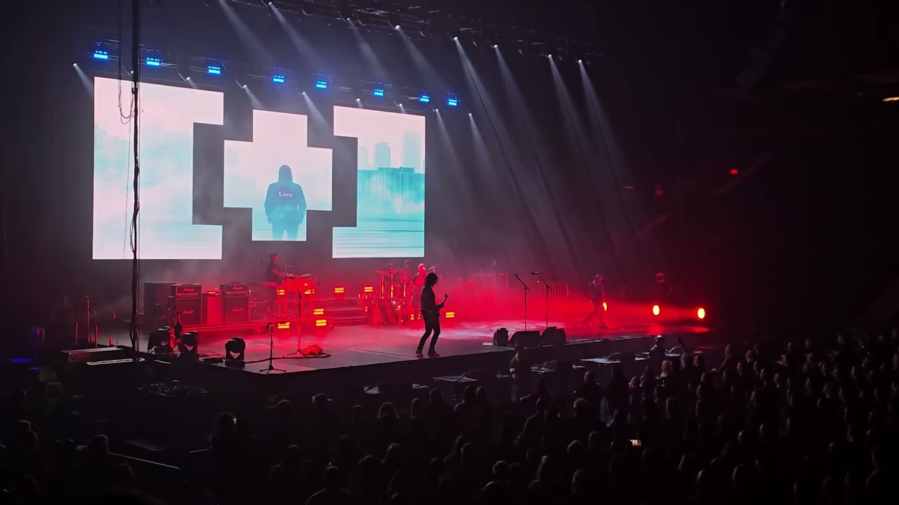 Live - The Dolphin's Cry - Place Bell de Laval – 10 mars 2026