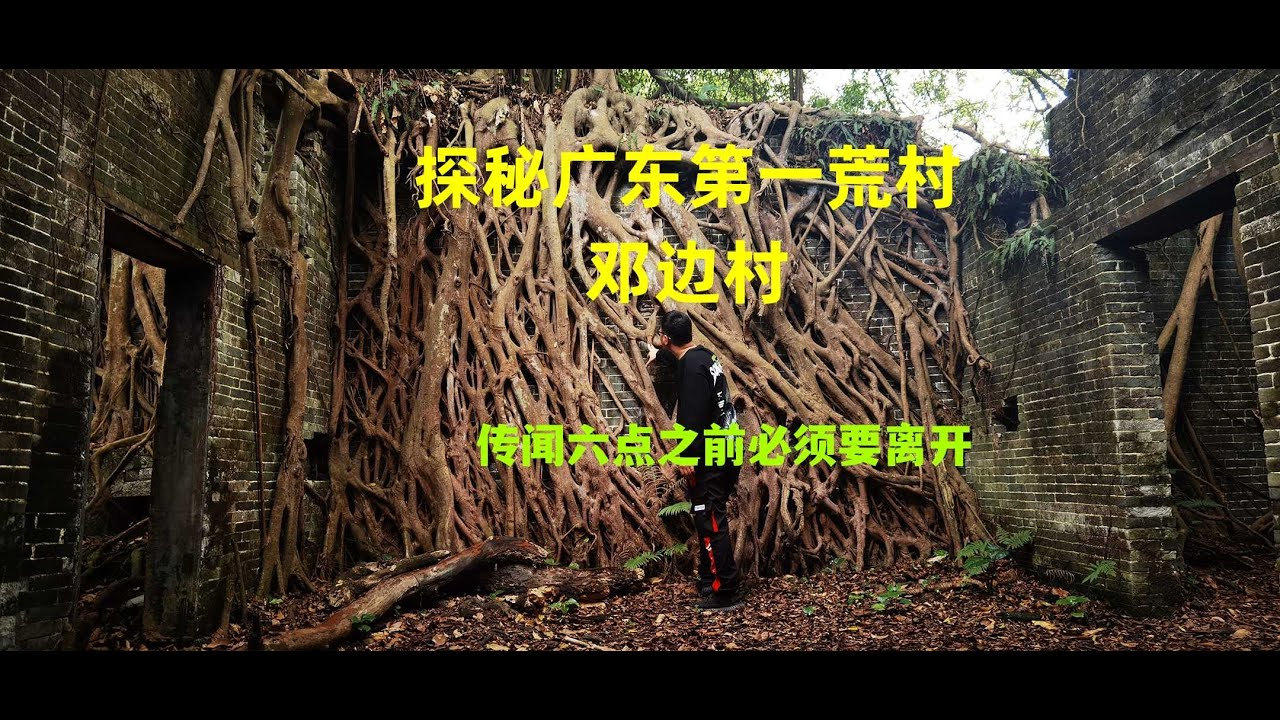 探秘开平邓边村，号称广东第一无人村，画面堪比生化危机#城市探险#废墟#诡异【探险牙牙牙】