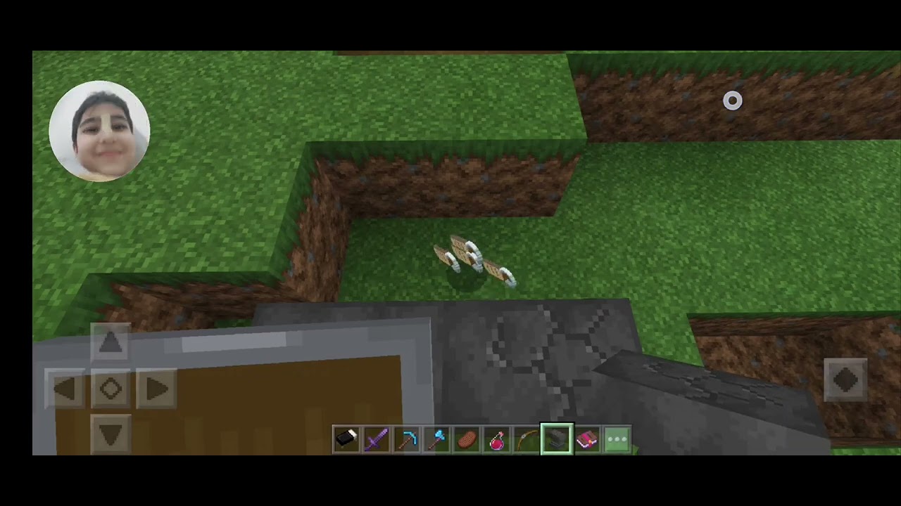 RÜZGAR MİNİCRAFT'TA ⁉️⁉️ #minecraft #funny #shorts #trending #cat 