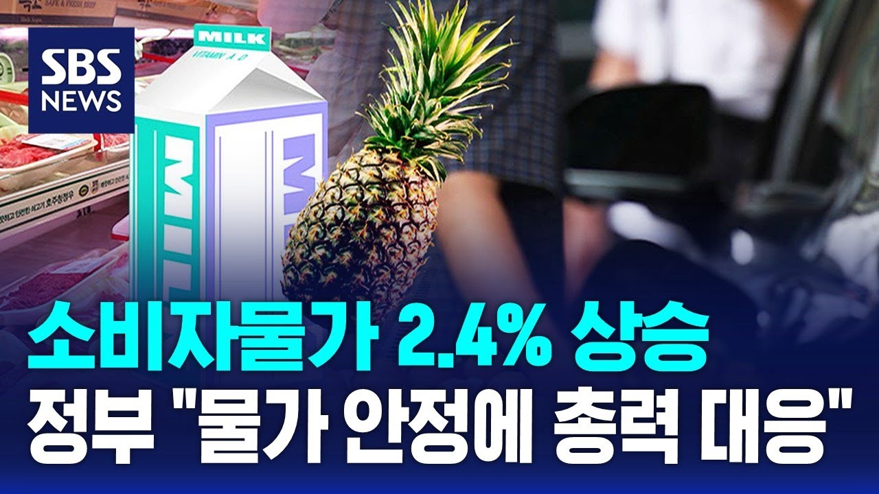 소비자물가 2.4% 상승&hellip;정부 