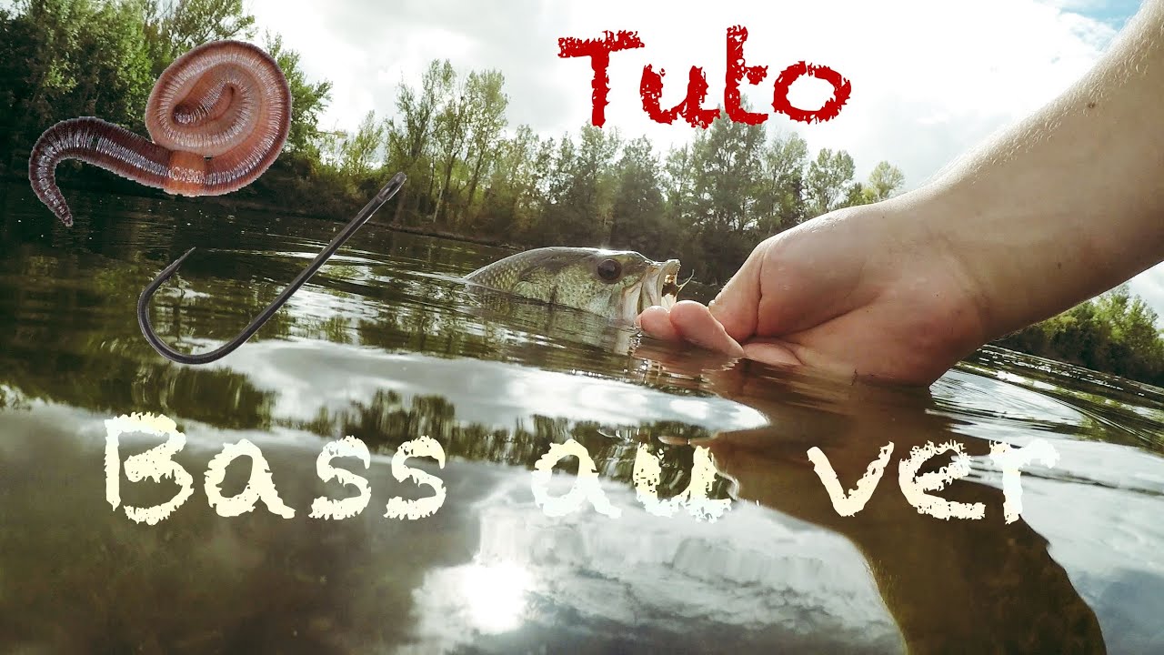 (TUTO) COMMENT P&Ecirc;CHER LE BLACK BASS AUX VERS