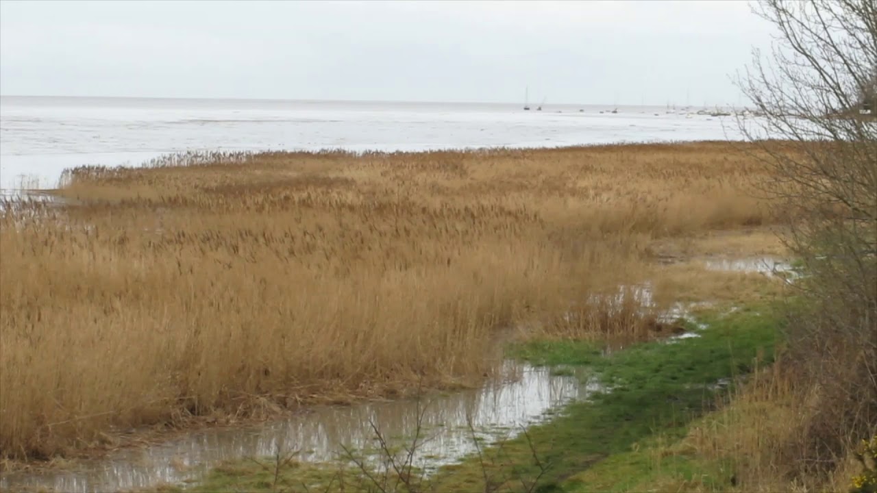 Dee Estuary -  and a Spring Tide