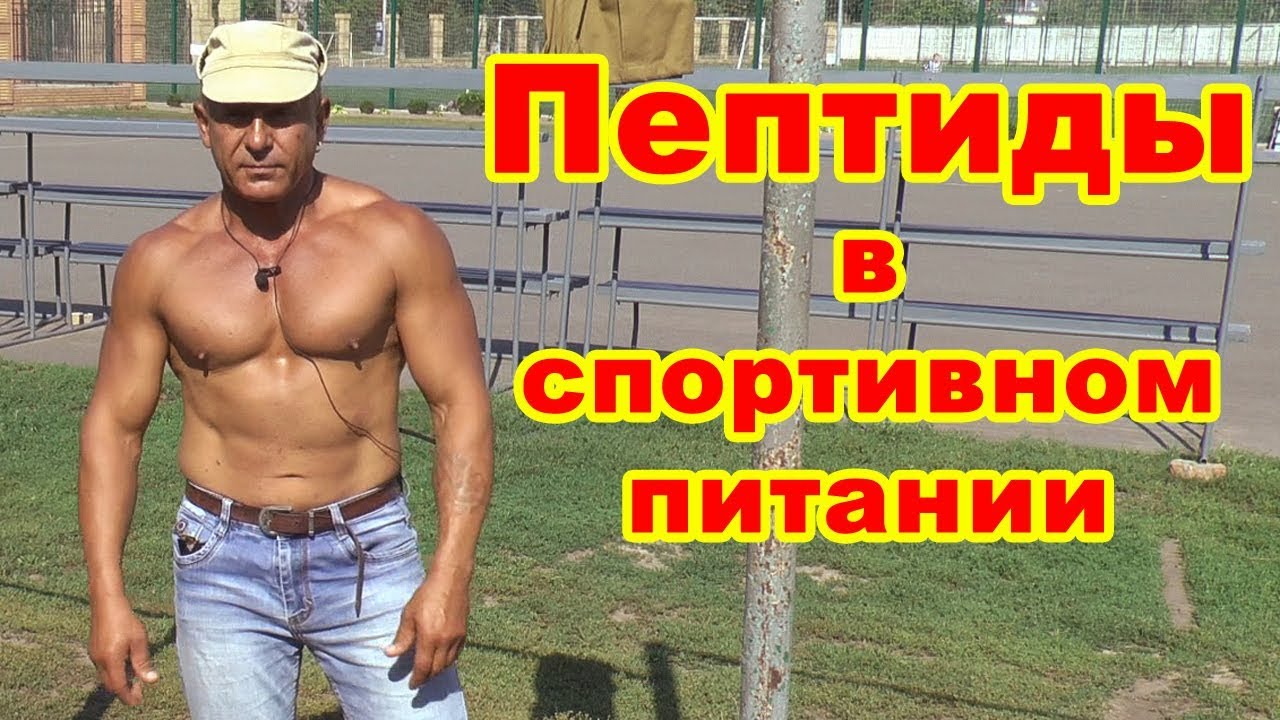 Пептиды в спортивном питании