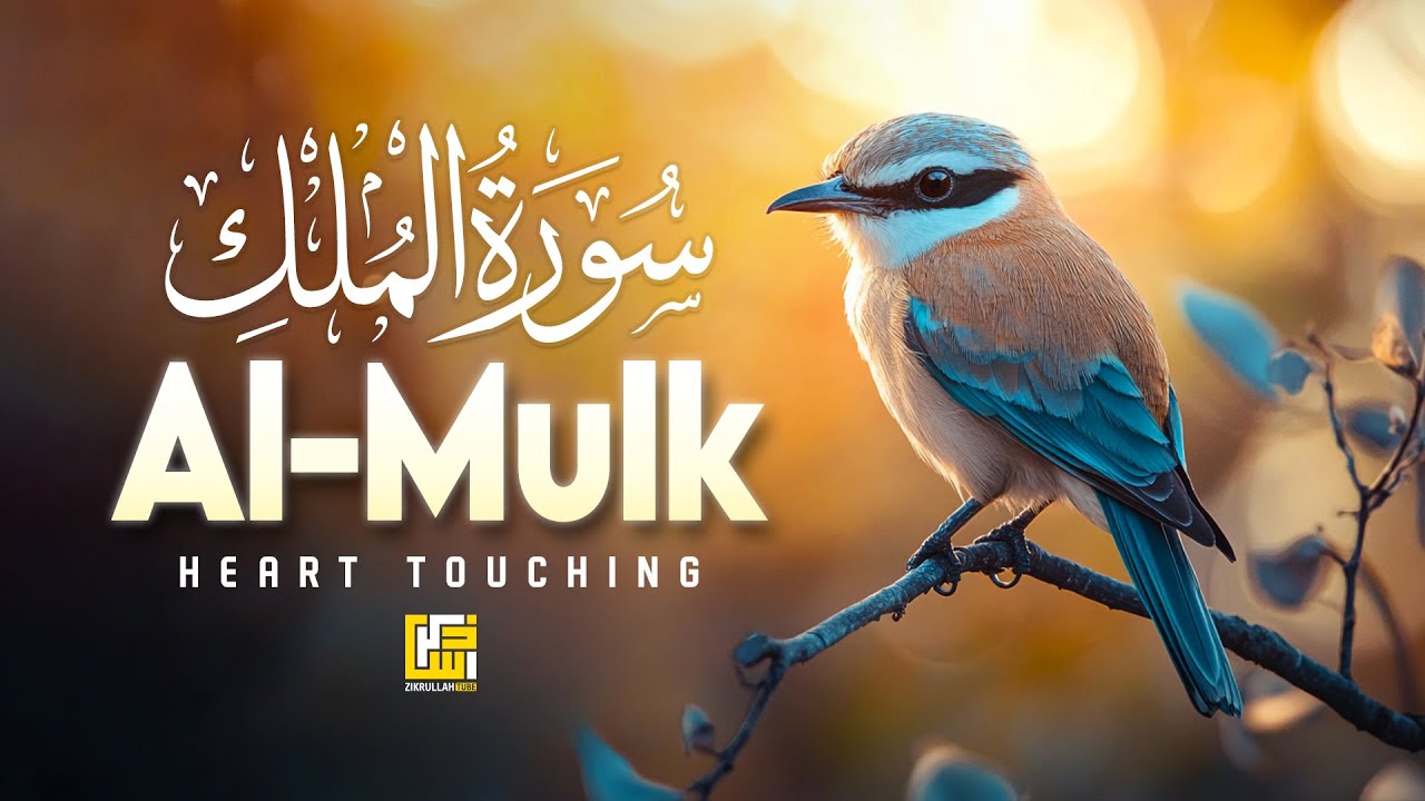 Surah AL Mulk - سورة الملك | Lofi Relaxing Quran Recitation Before Sleep | Beautiful Recitation