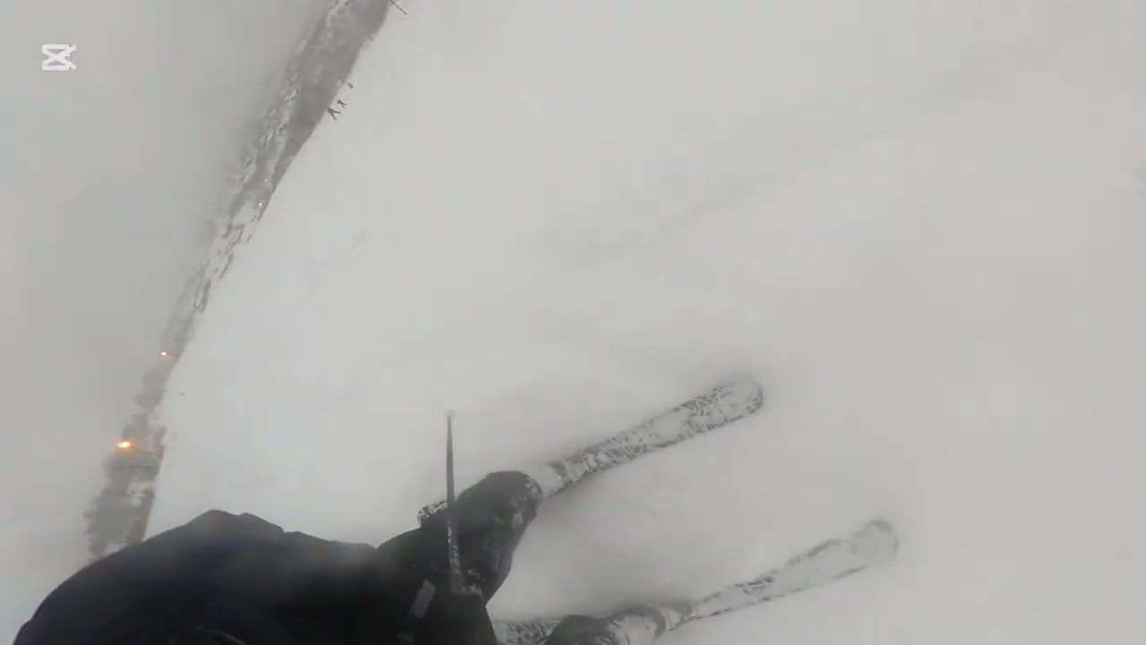 Foggy pow day || POV 