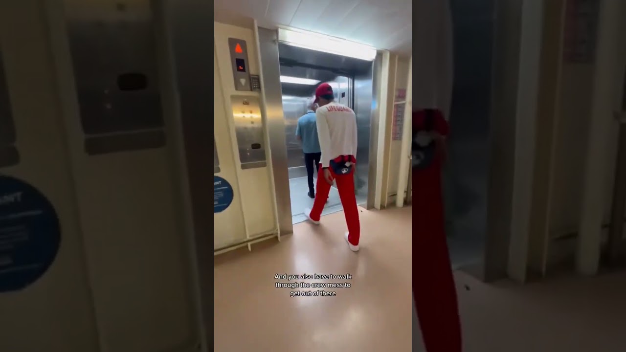 День из жизни на борту круизного лайнера