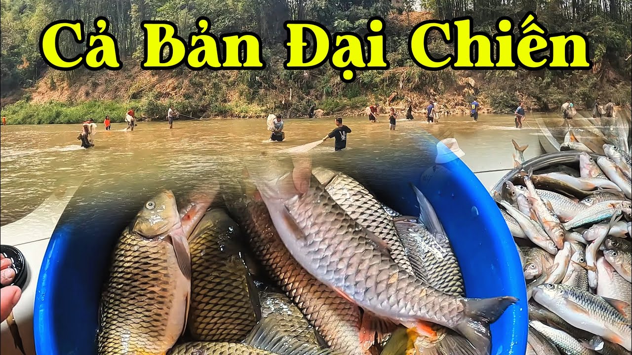 Cả Bản Bắt 60KG Cá – Cá Không Kịp Chạy!