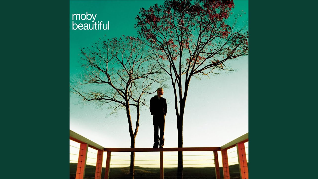 Beautiful (Benny Benassi Remix)