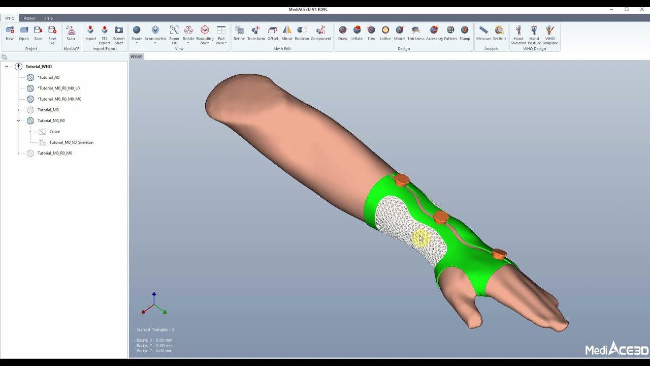 The entire process of designing WHO with MediACE3D