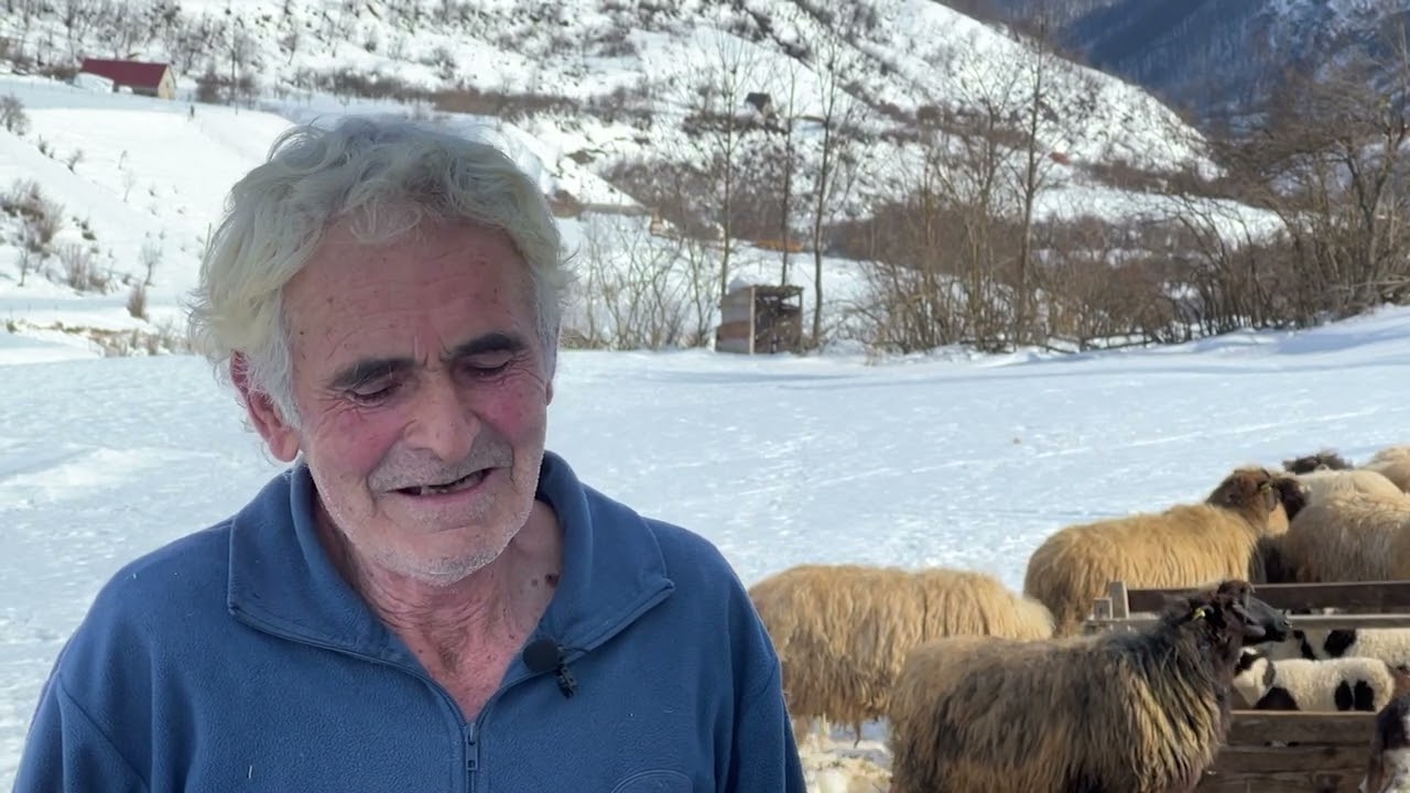 HRONIKA ŠAVNIKA   21. FEBRUAR 2023.