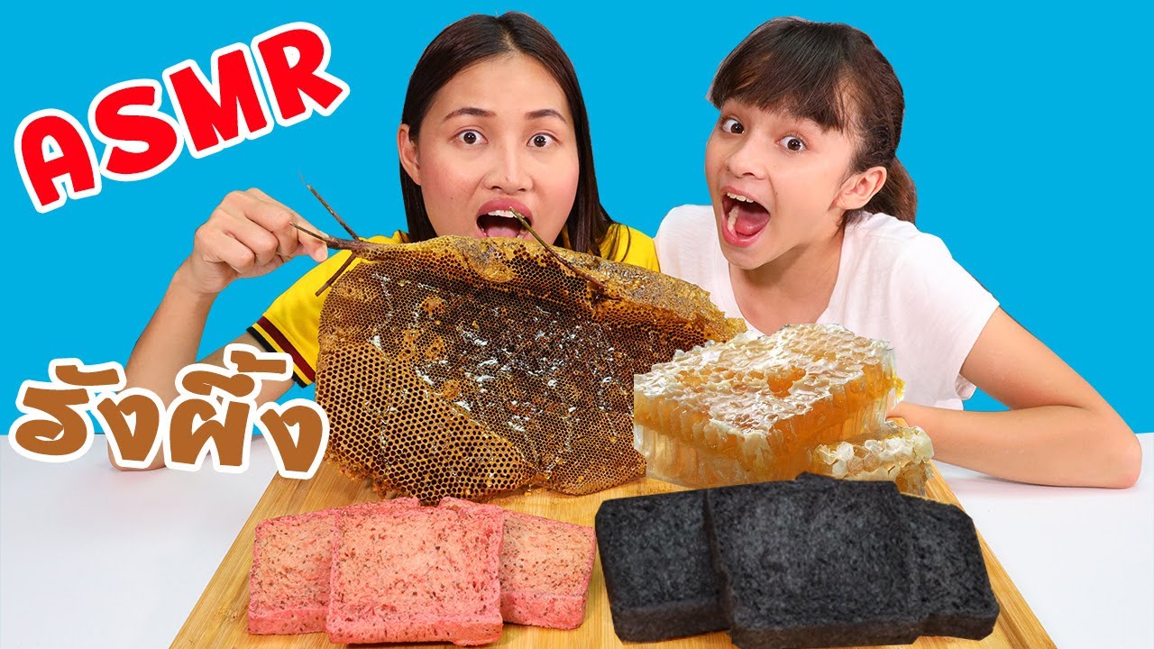 ASMR รังผึ้งในป่า VS รังผึ้งในห้าง