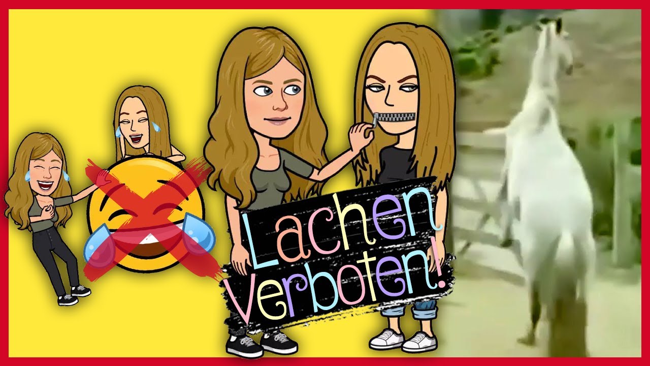 😂🤭 Versuche NICHT zu LACHEN Challenge (Lustige Pferdevideos) 😅🐴  // Blondis auf Fjordis