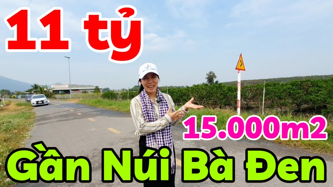 1 Mẫu Rưỡi đất đường nhựa nở hậu có 800m2 thổ cư gần Núi Bà Đen ở Dương Minh Châu Tây Ninh giá 11 tỷ