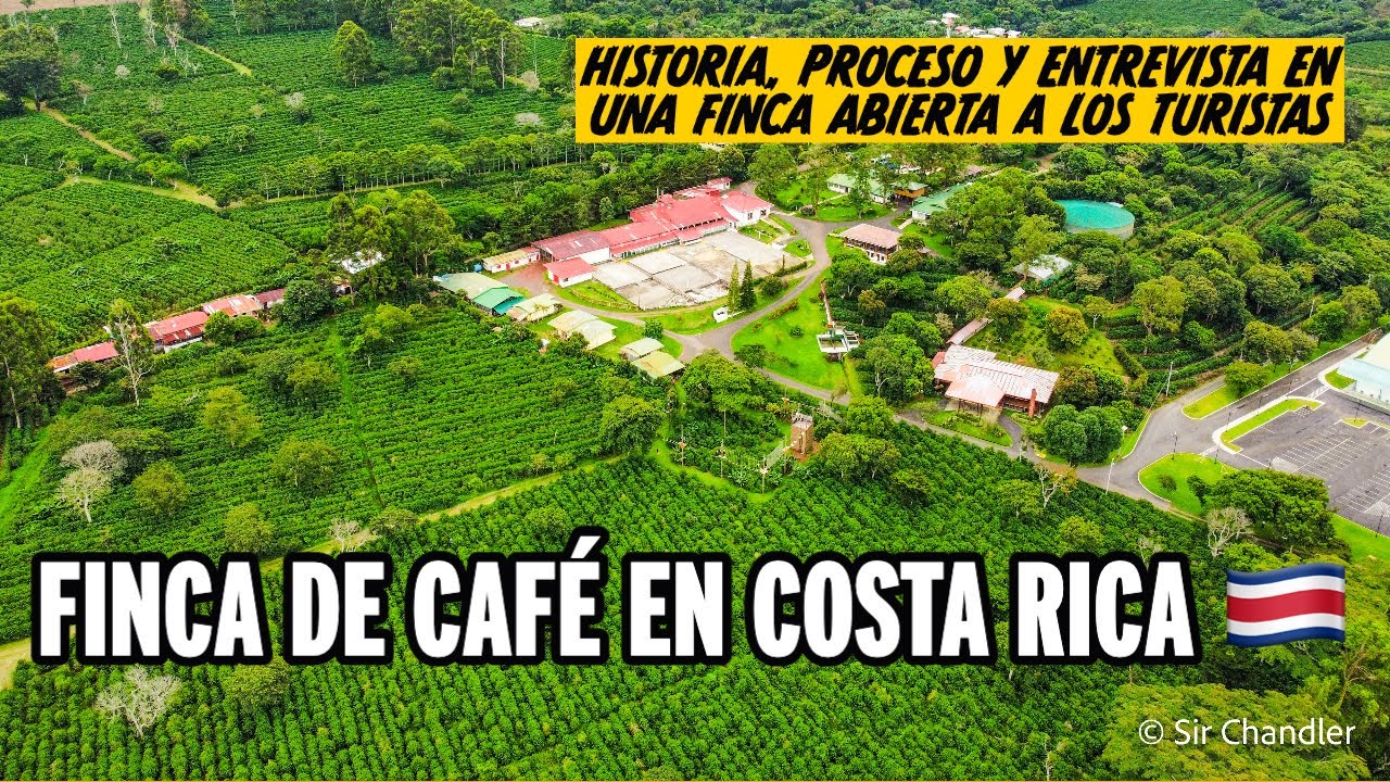 ASÍ NACE EL CAFÉ ☕️ EN COSTA RICA 🇨🇷 (Y CHARLA PARA ENTENDER TODO)
