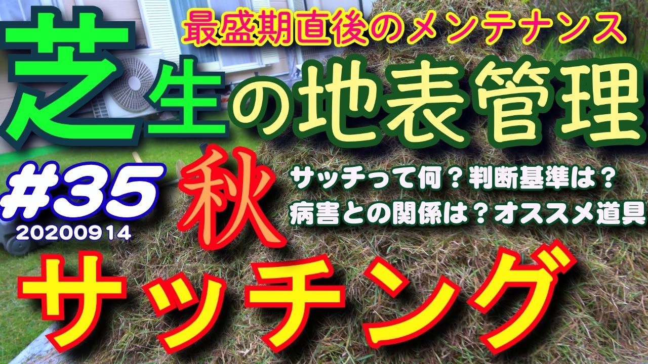 秋口の芝生サッチング徹底解説　便利な道具と効果的な使い方　秋のサッチとり判断は？　芝活2020#35