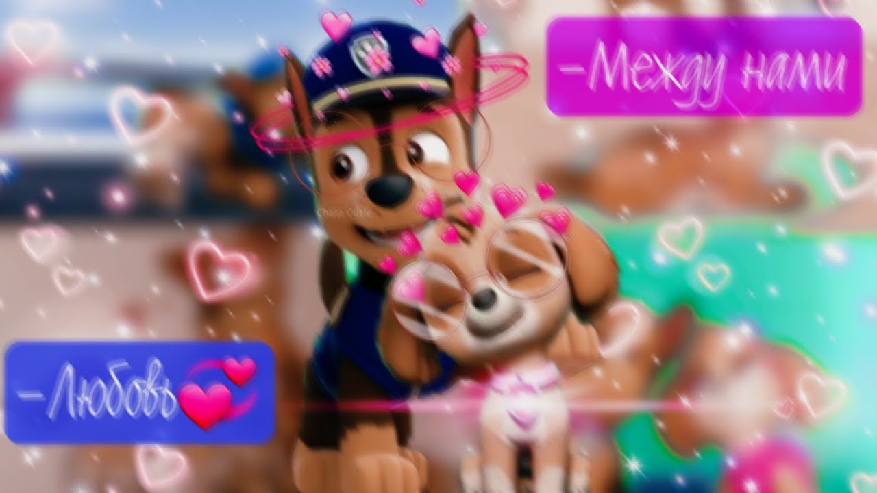 💌Гонщик и Скай💌(Между нами любовь)~Для канала marika seitova~💌Chase x Skye💌