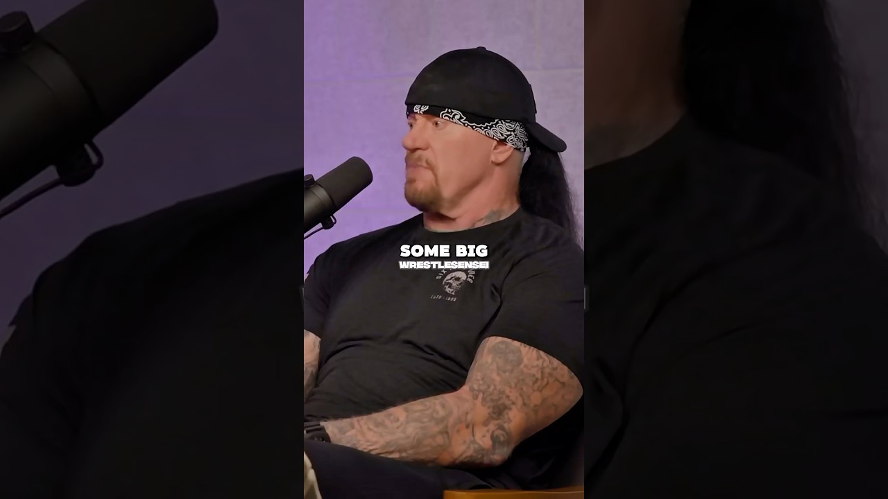 Undertaker Thoughts On Sting