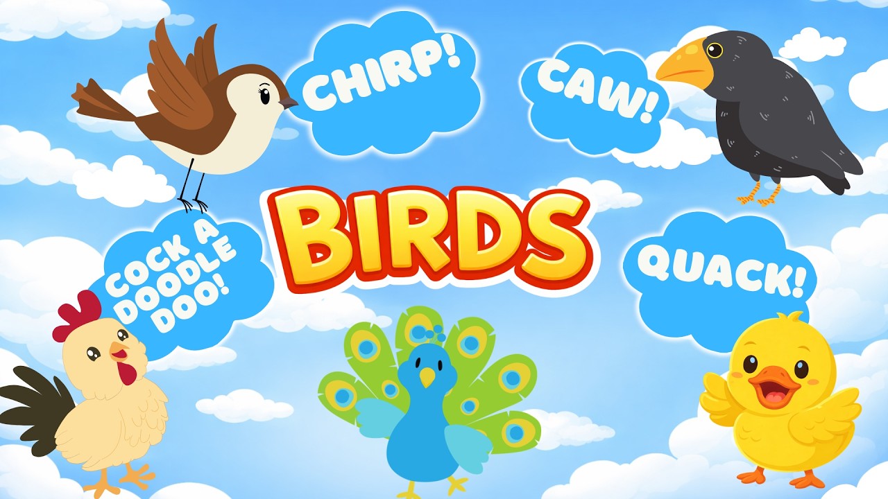 Learning Birds | Guess the Bird 🐦 | Fun Animal Guessing Game for Kids & Toddlers