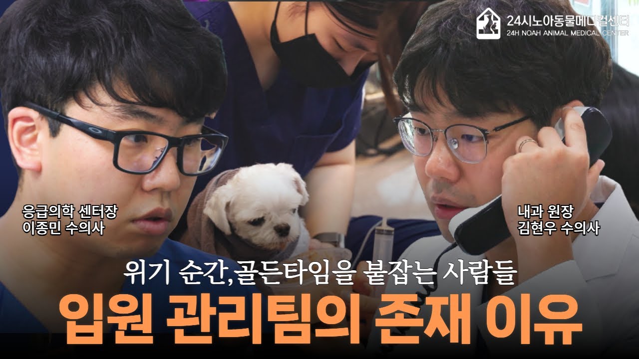위기 순간,골든타임을 붙잡는 사람들 입원 관리팀의 존재 이유 #노아동물메디컬센터