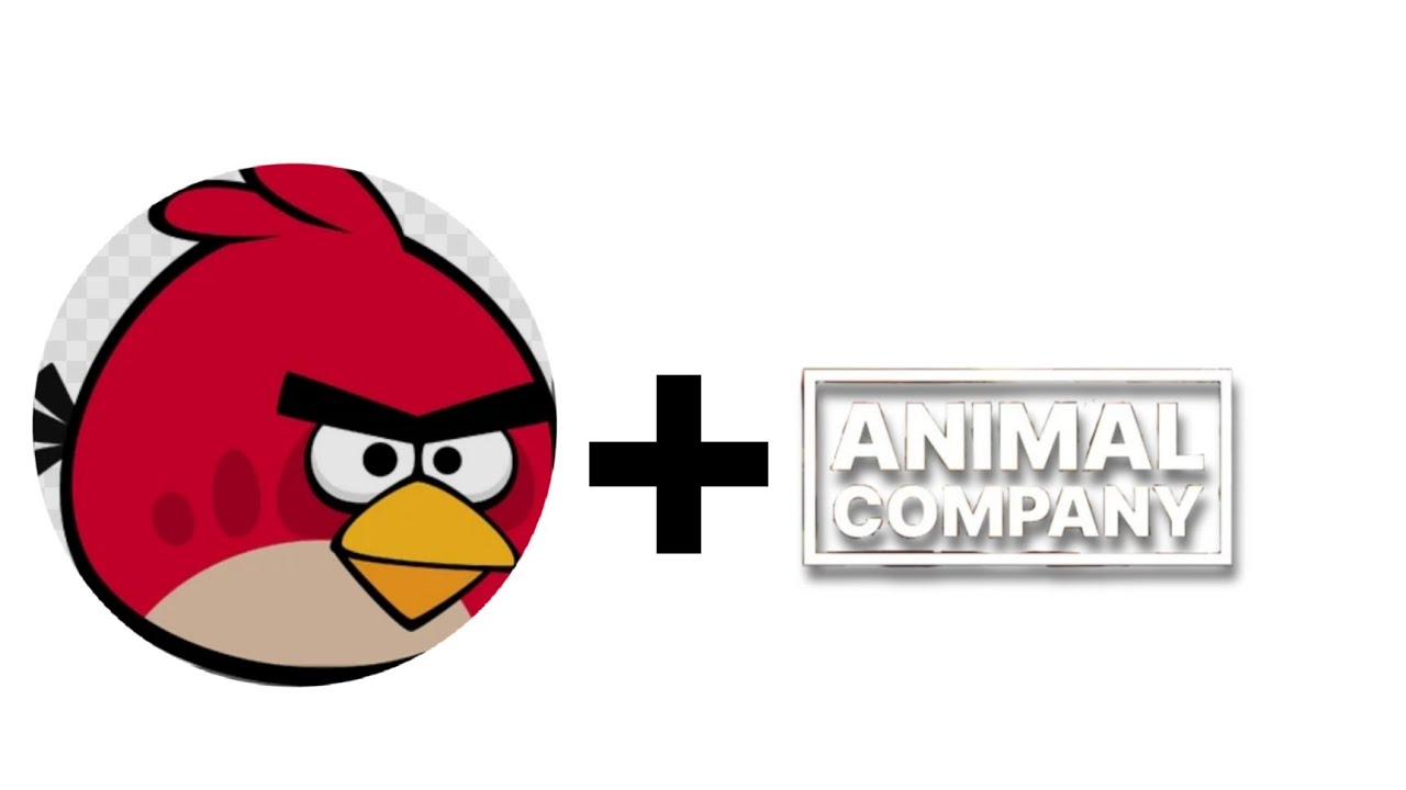 Angry birds but in animal company?