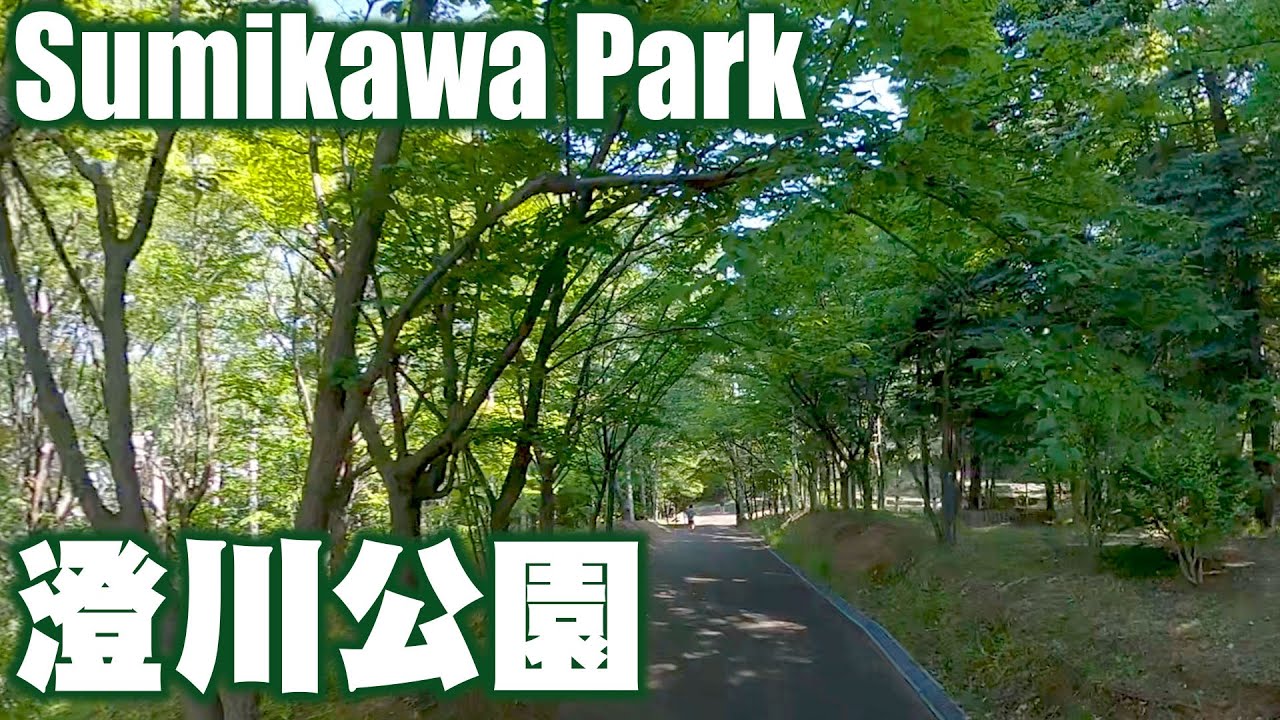 澄川公園とみなみ澄川公園　I walked around Sumikawa Park and Minamisumikawa Park.