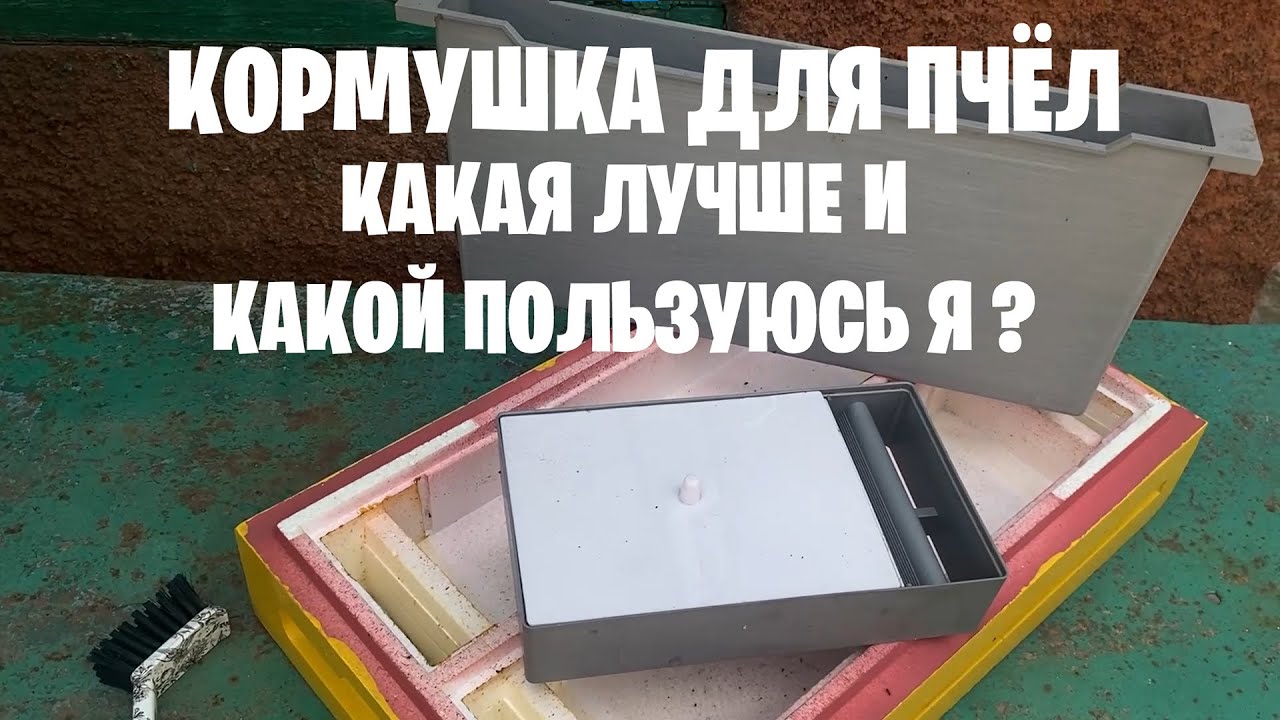 Кормушка для пчёл. Какая лучше и какой пользуюсь я