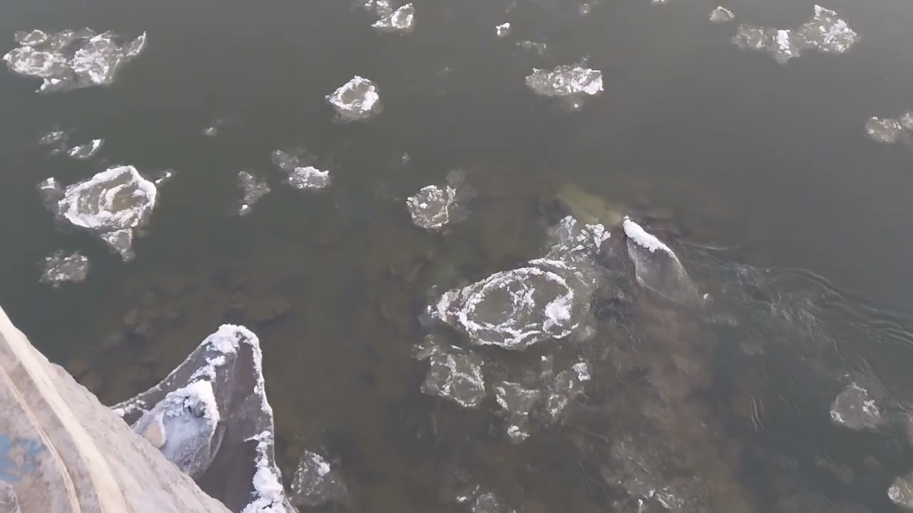 Zimowy spacer po moście nad Wisłą w G&oacute;rze Kalwarii