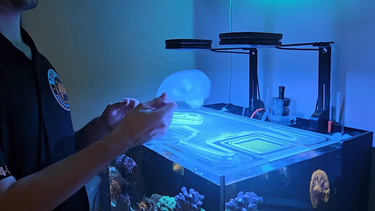 Aquarium Fish Feeding in 15 Seconds or Less | Top Lids Food Regulator Cup