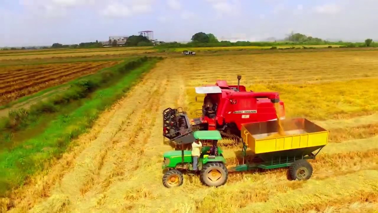 Guyana - Land of Bountiful Harvest