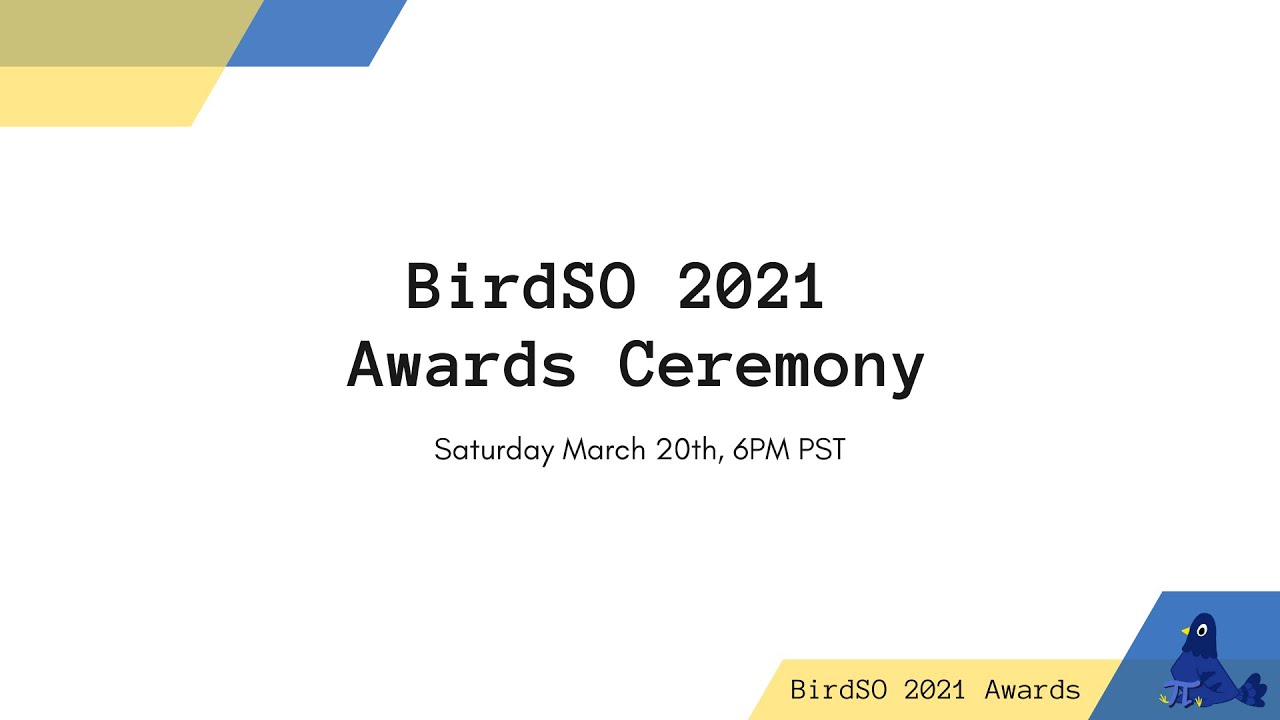 Церемония награждения | BirdSO Mini 2020-2021