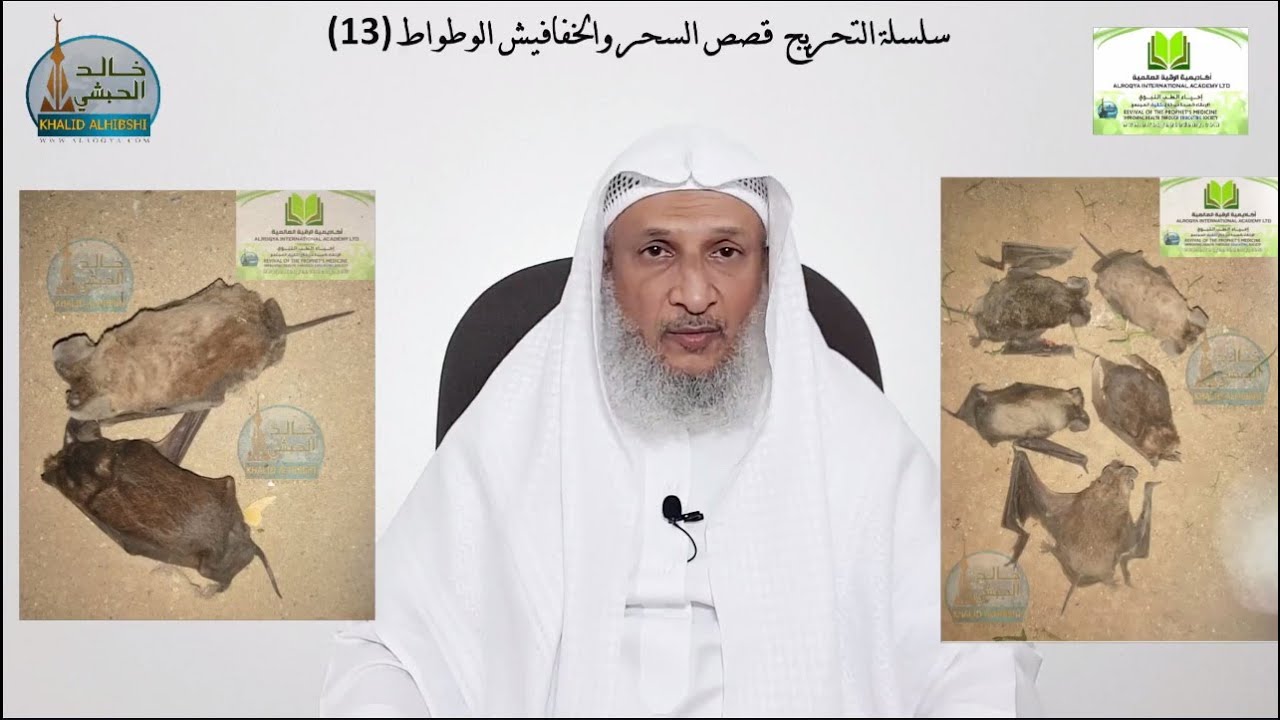 #سلسلة_التحريج ** قصص تسلط الخفافيش والوطواط (13) الشيخ خالد الحبشي