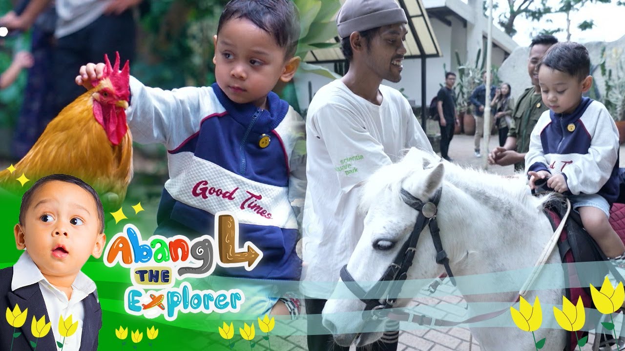 Serunya! Abang L Mulai Berani Naik Kuda Loh dan Kasih Makan Rusa Loh | Abang L The Explorer