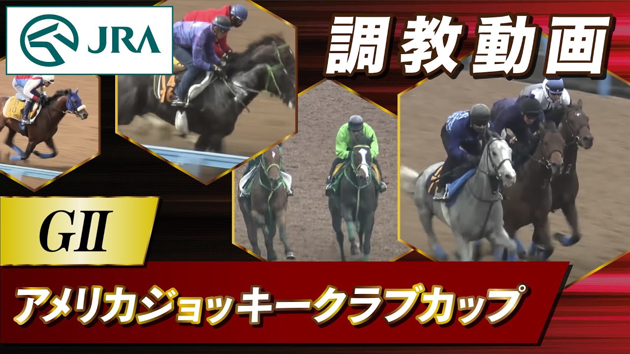 【調教動画】2026年 アメリカジョッキークラブカップ｜JRA公式
