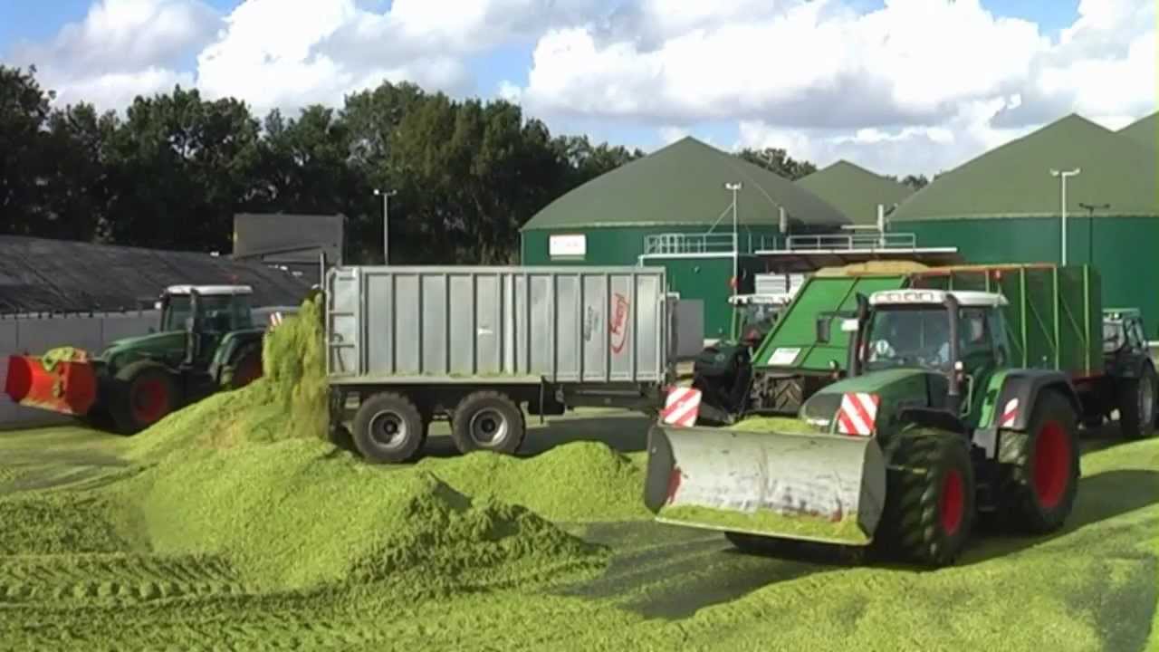 Mais 2012 - Biogasanlage Varel-Neuenwege am 29.09.2012 (Teil 1)