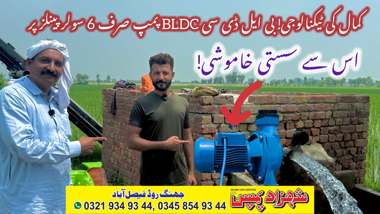 Amazing BLDC Pump Running on Only 6 Solar Panels! #Shahzadpumps 