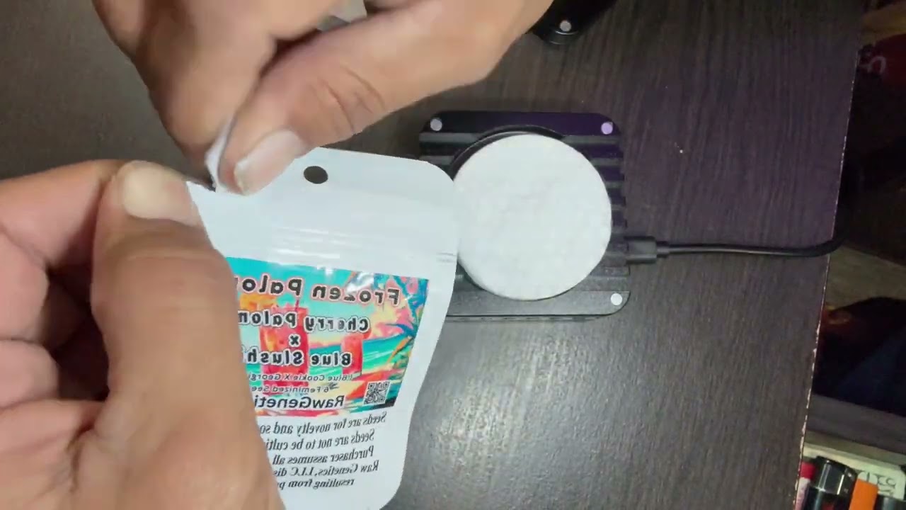 Seed to harvest- Raw Genetics-Sprout Germination Module-Root Nerds🌱