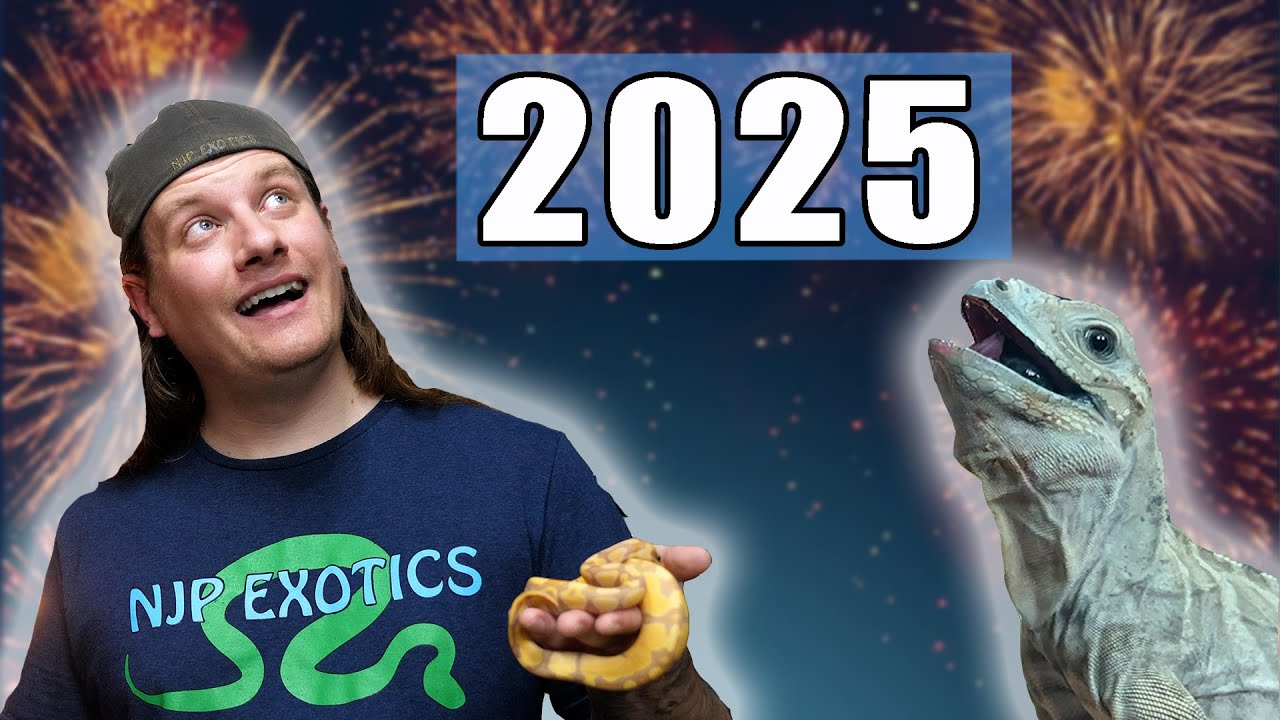 Основные события 2025 года / Краткий обзор