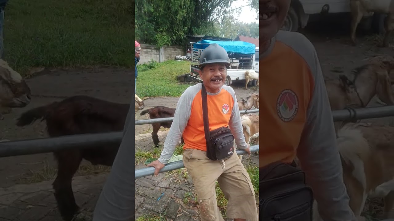 Ketemu lagi pasar Wage DS moneng Pilangkenceng bolo,wes to akeh syukur e akeh barokahe..