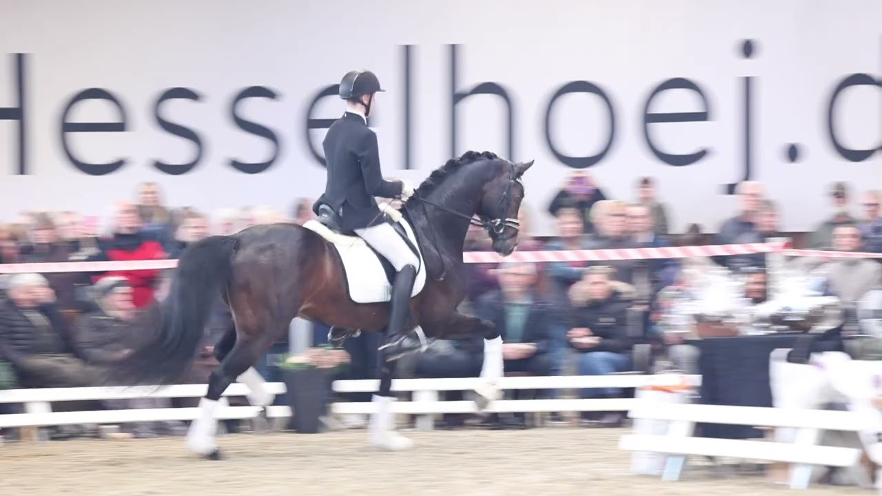 Hesselhoej Double Up