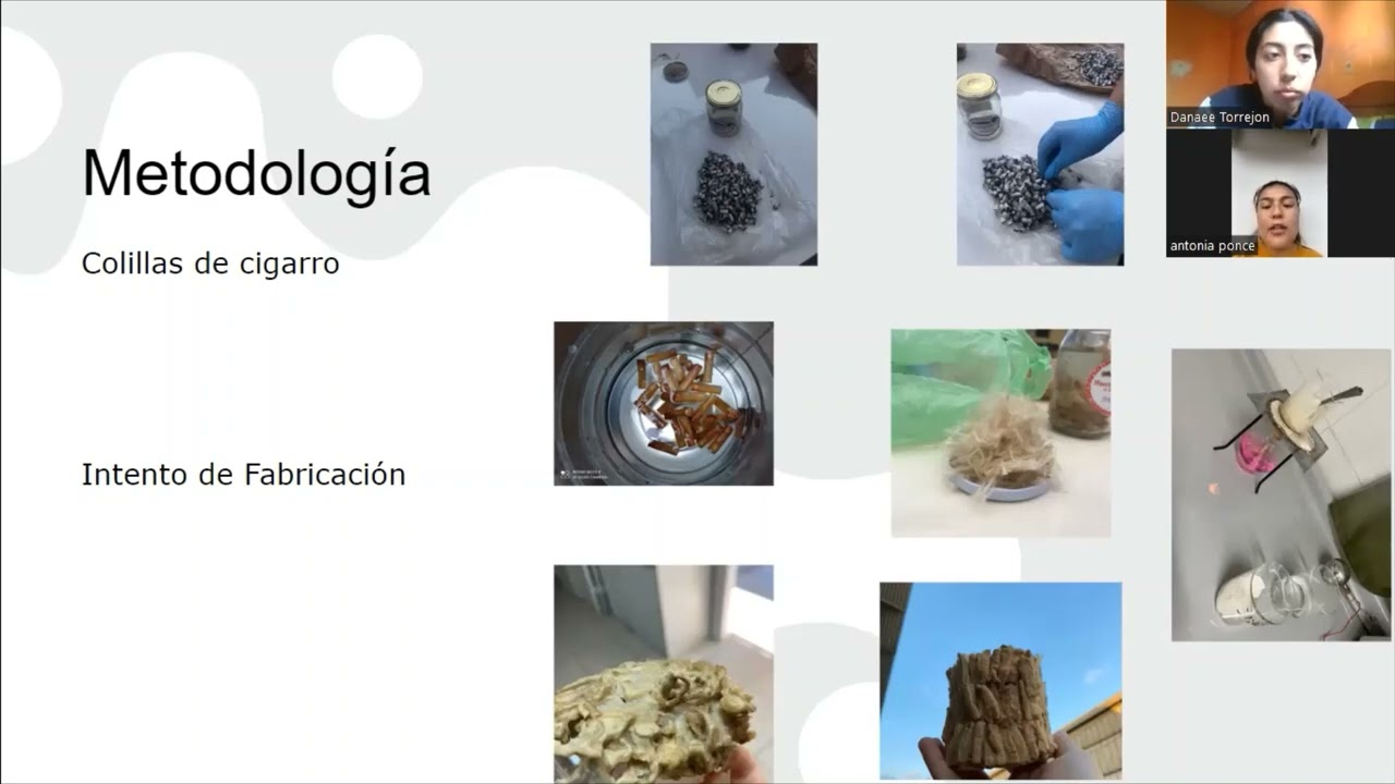 Fabricación de maceta ecológica con colillas de cigarro- Col. Gob. Concha y Salvatierra, Quillota