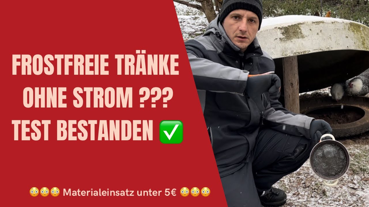 *49 - Frost freie Tränke ohne Strom für unsere Hühner !!! Check ✅ 