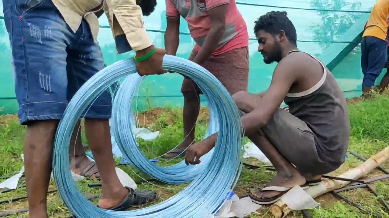 EP 02 Pomegranate farming protection from birds installing poles and wire for fishnet dhanimma